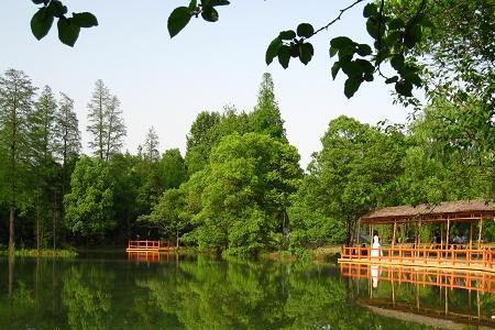 东湖落雁景区2021年10月份开放吗