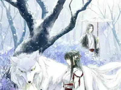 替嫁医女凤倾华的身世
