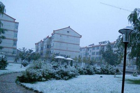 九月飞雪有什么说法