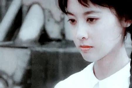 林燕云主演全部电视剧