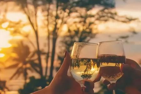 虚伪的酒我再也不接什么意思