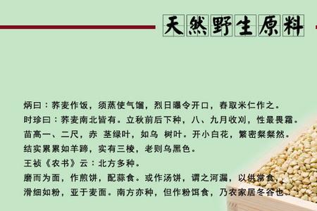 野山荞是苦荞吗