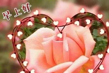早上九点问候的暖心句子