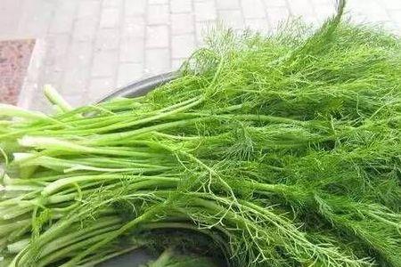 蒿子杆保存方法