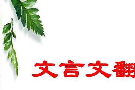 文言文的适是什么意思