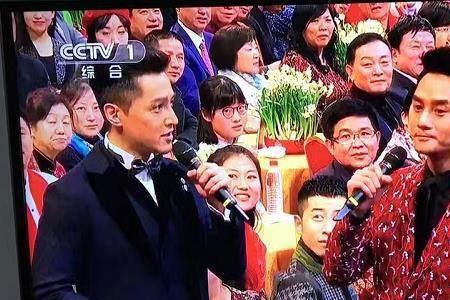2016年春晚胡歌唱的歌