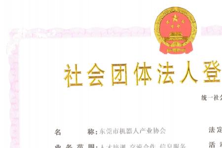 协会有法人吗