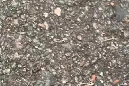 苹果后玻璃碎了电池露出来了