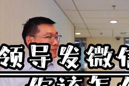 领导说谢谢兄弟怎么回复