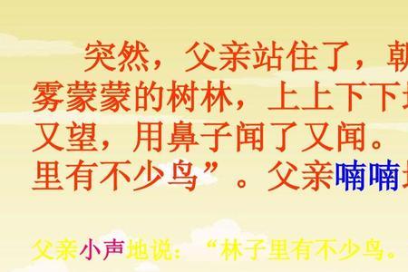 树林和鸟的作者是谁