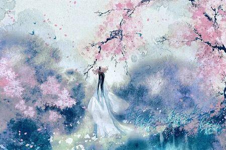 小说寂寞宫花红男主