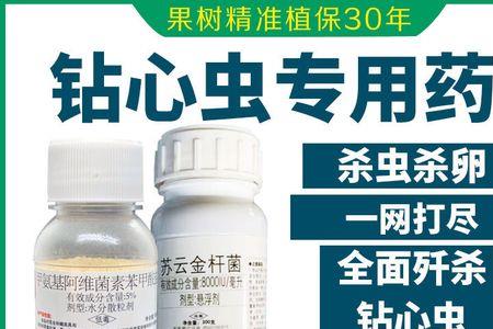 大葱钻心虫用什么药
