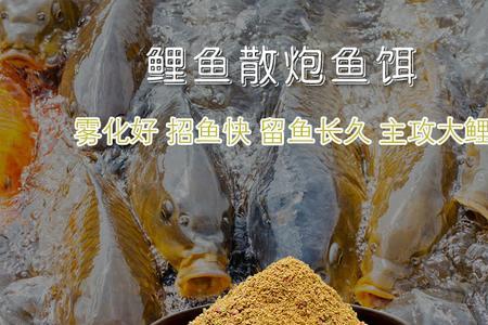钓鲫鱼散炮和钓饵味型要一样吗