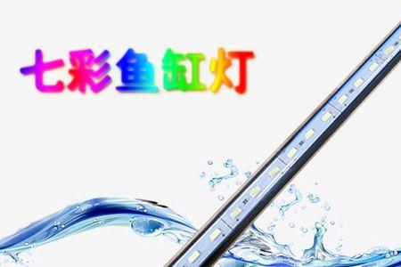 鱼缸里的增色灯要一直开着吗