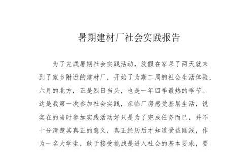 实践报告分工填什么