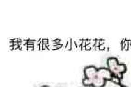小花是什么意思表情包
