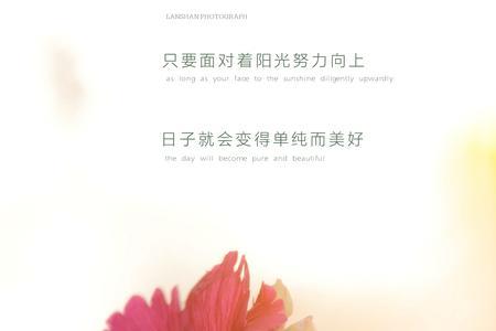 岁月是朵两生花是什么意思