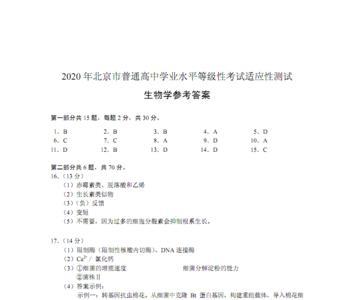 高中首考是什么