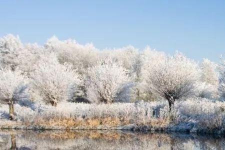 朔雪纷飞是什么意思