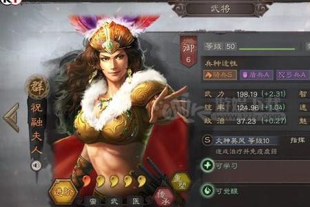 三国志孙太周战法搭配