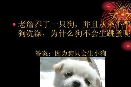 百岁养儿子歇后语