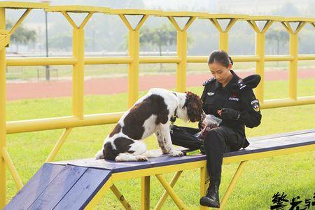 警花与警犬中的拉k