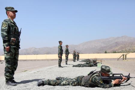 隐显目标射击训练方法