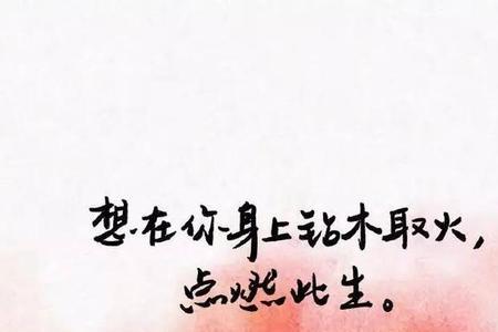 结婚独白文案长句