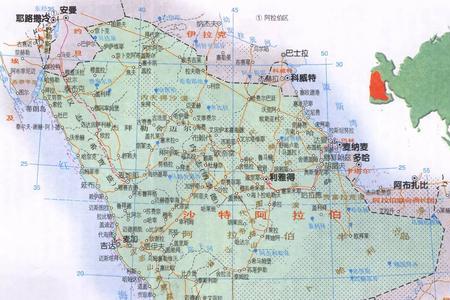 沙特阿拉伯是哪个大洲的