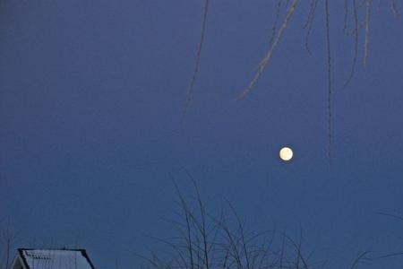 小说里北方的夜城是哪里