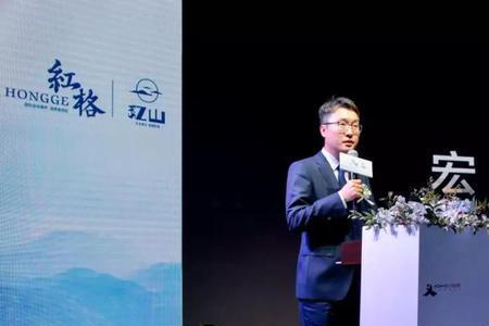 宏义男饭是什么人