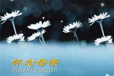 对已逝者是怀念还是感念、思念