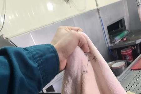 猪百叶的清洗方法