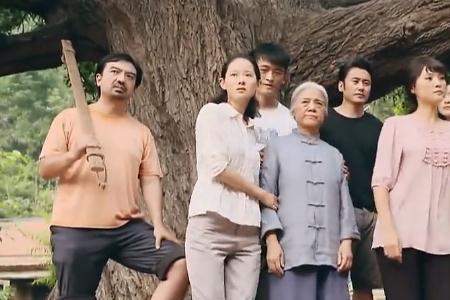 马向阳下乡记大喇叭没关