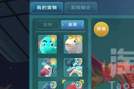 创魔骨龙和幻龙哪个当坐骑好