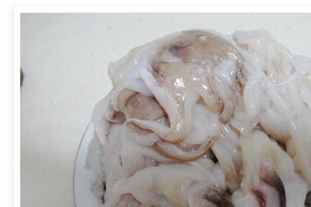请教，冷冻墨鱼怎么清洗