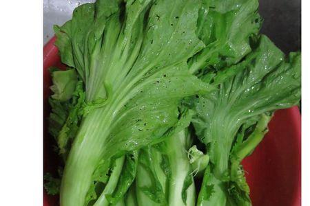 盖菜还叫什么菜