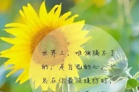 喜欢其实很简单的短句子