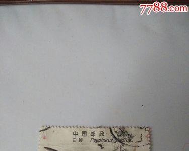 白鲟邮票现在能值多少