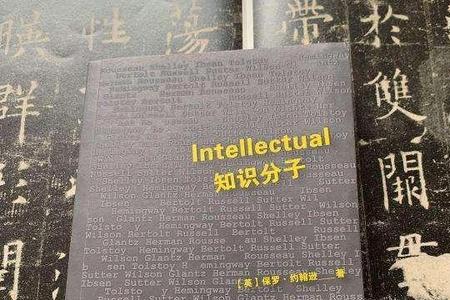 知识分子四个层次