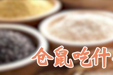 小仓鼠可以吃冷的饭吗