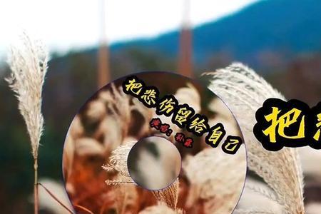 伤心的路人原唱