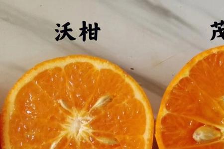 甜橙和沃柑的区别