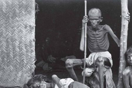 古代饿死人为什么不吃草
