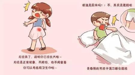 家有青春期为什么不更新了