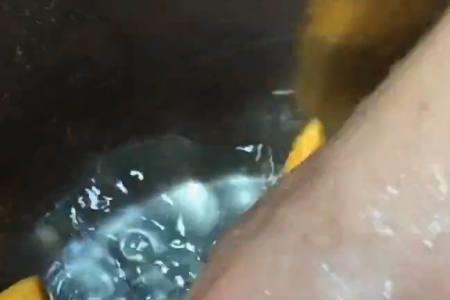 蜜汁地瓜糖汁正宗做法
