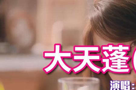 大天蓬歌词意义