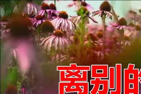 车站原唱完整版教唱