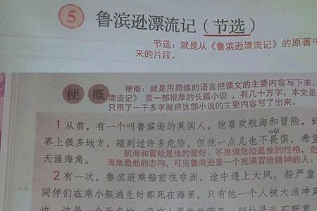 鲁滨逊漂流记第5章情节概括