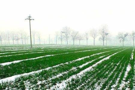 大雪不下雨有什么说法